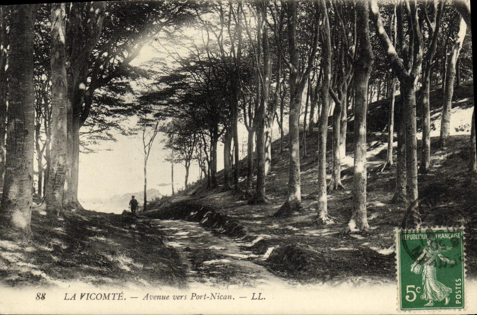 POSTAL de la VENDIMIA el vizconde Avenue hacia el puerto de Nican