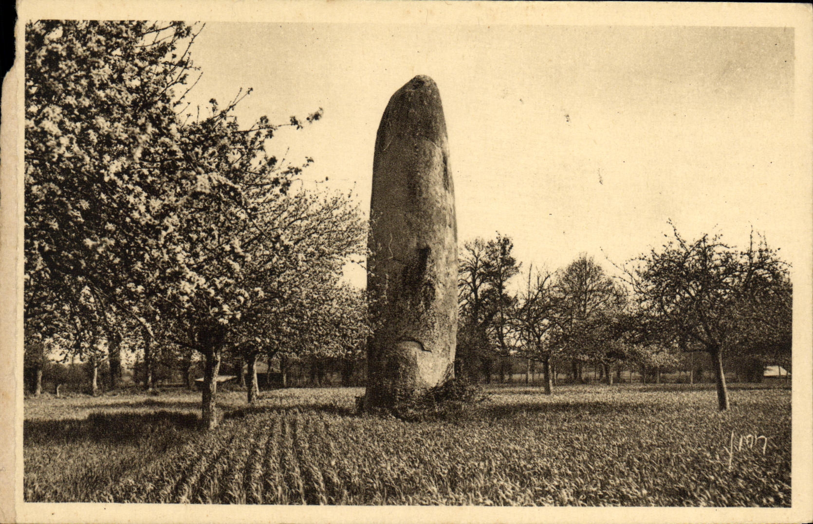 VINTAGE POSTCARD Brittany Environs of Fraud Pierre of the field Pare Menhir