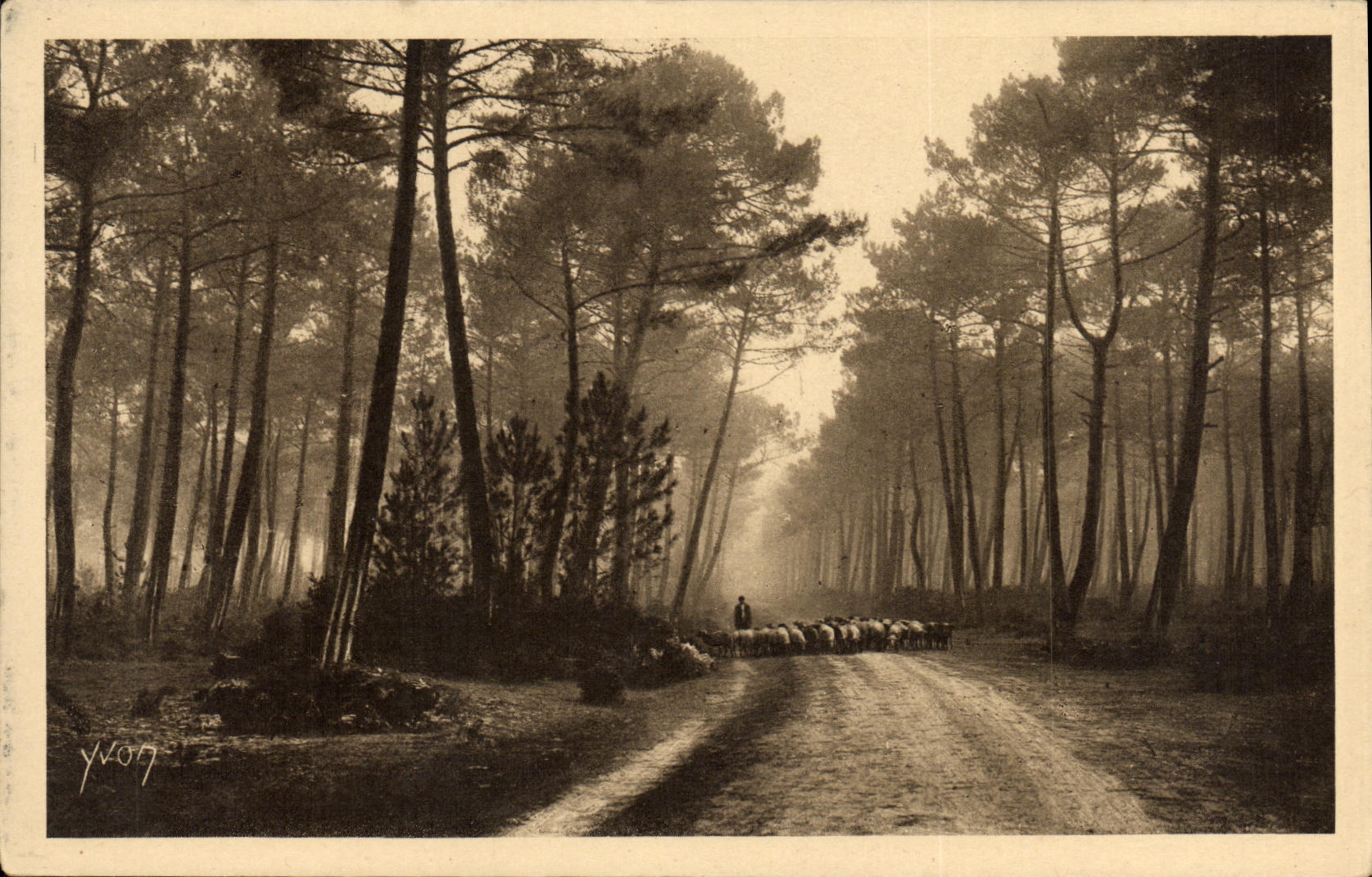 La POSTAL Francia suave de la VENDIMIA amarra de la manana clara de Gascogne fuera del taladro