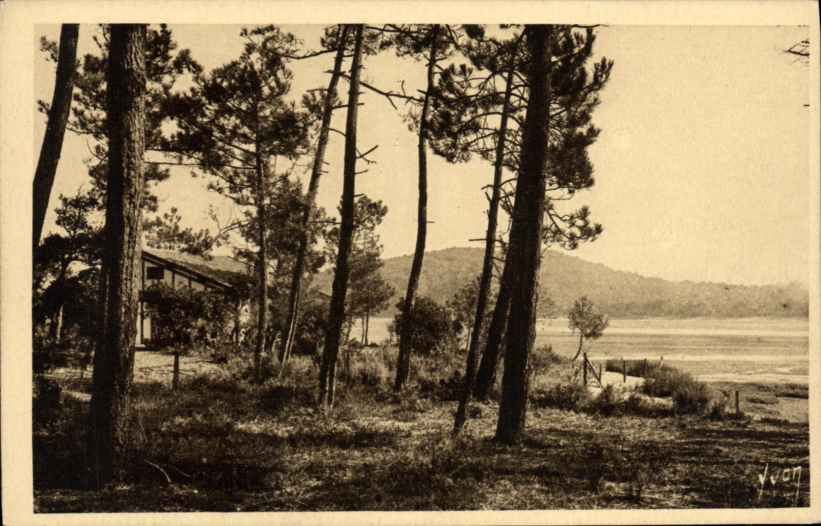 VINTAGE POSTCARD Hossegor the Large Dune