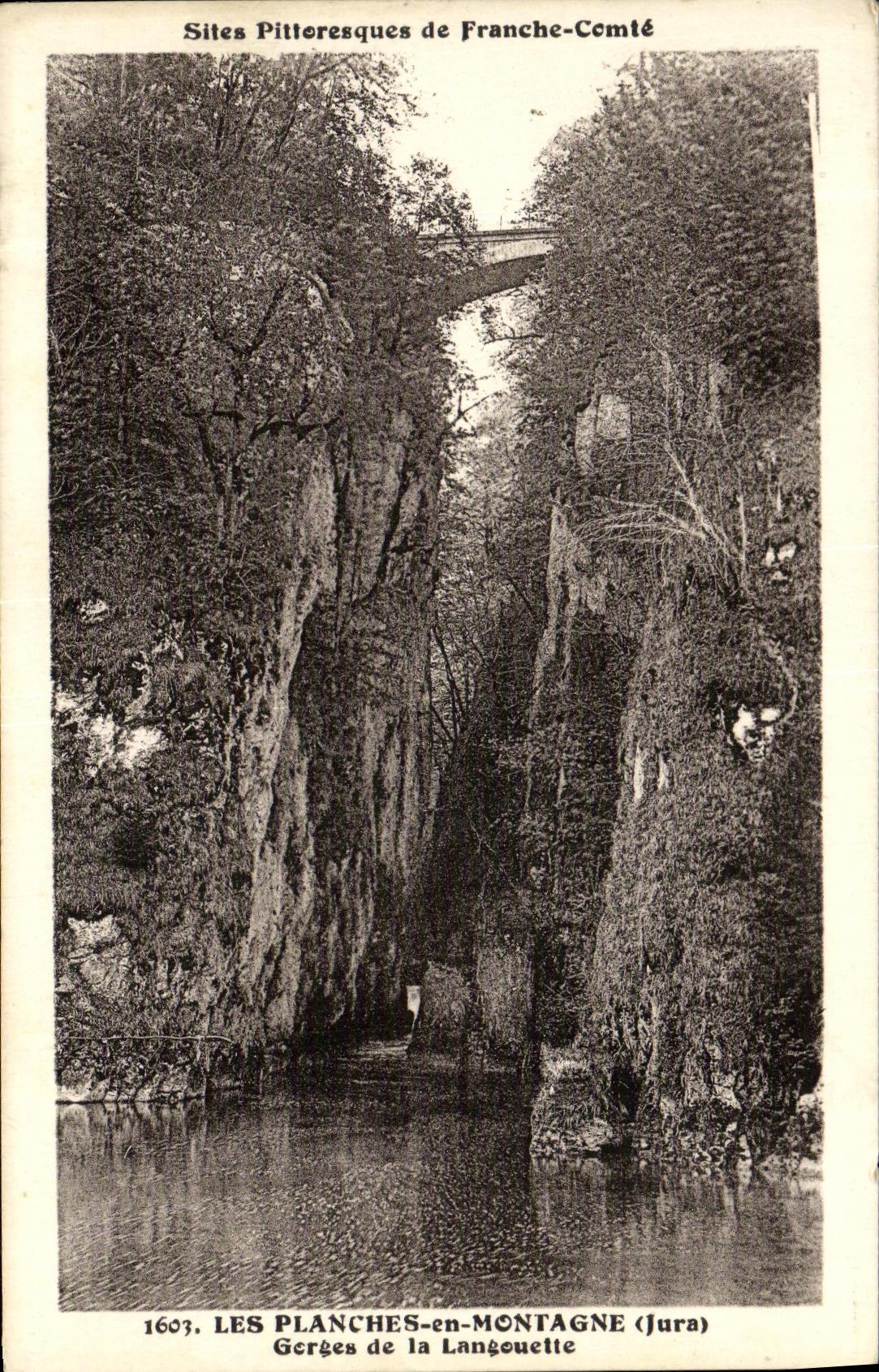 VINTAGE POSTCARD Boards in Gerges Mountain of Langouette