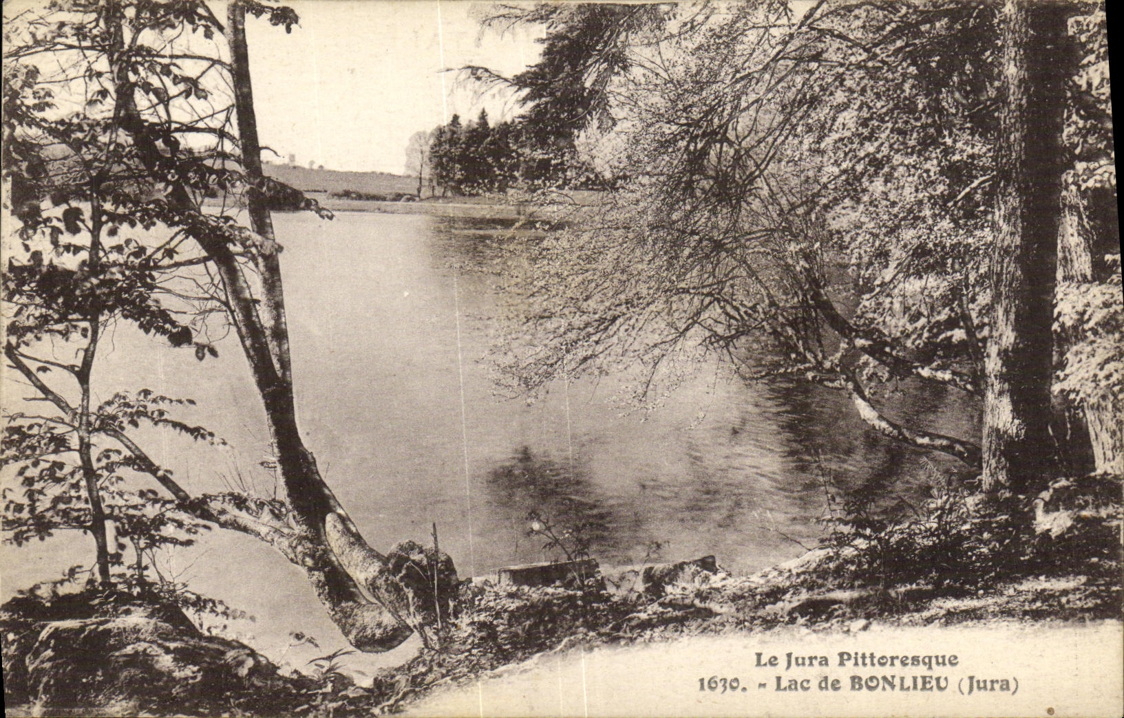 VINTAGE POSTCARD the Picturesque Jura Lake Bonlieu