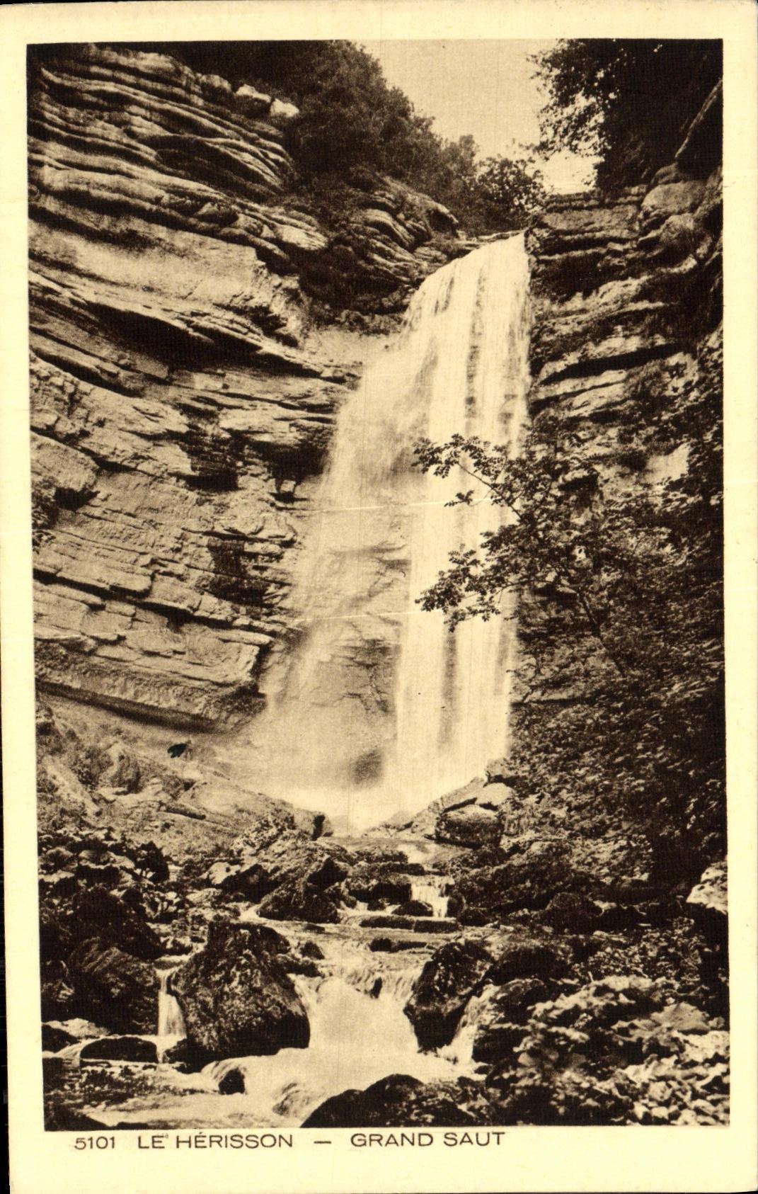 VINTAGE POSTCARD the Hedgehog Great Jump