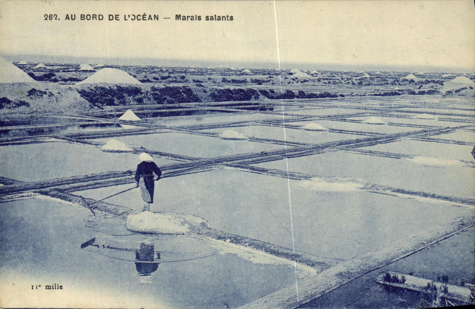 POSTAL de la VENDIMIA en el borde de L pantanos del agua salada del oceano