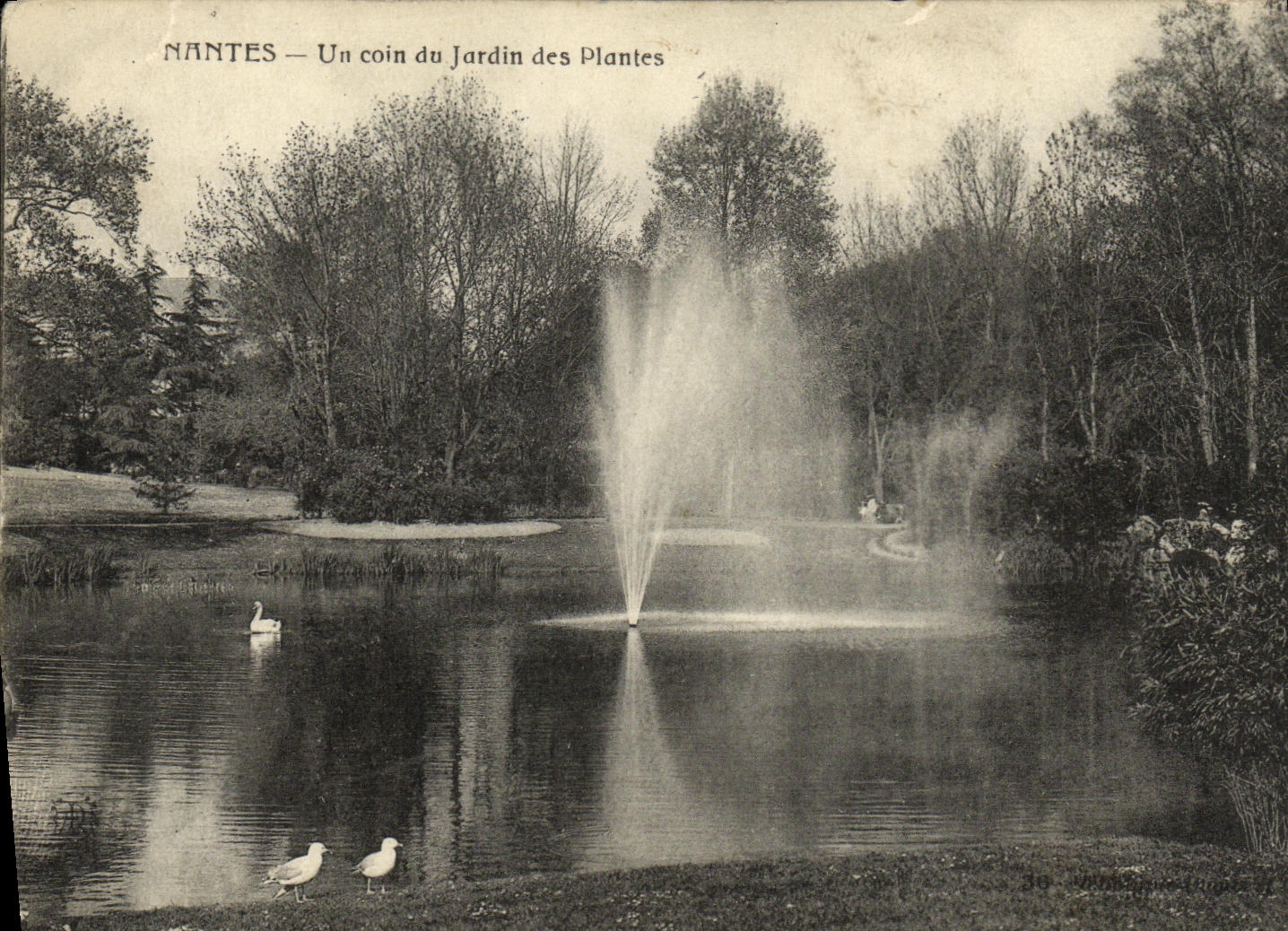 POSTAL Nantes de la VENDIMIA una esquina del jardin botanico