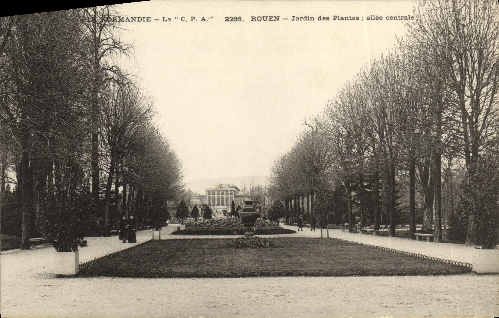 VINTAGE POSTCARD Rouen Botanical garden Gone central