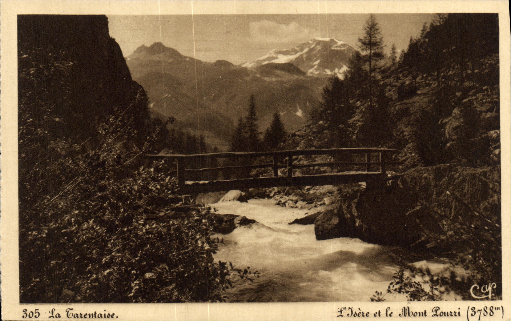 CPA La Tarentaise L isere et le Mont Pourri