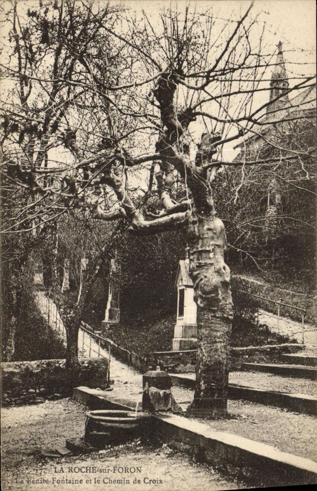 VINTAGE POSTCARD the Rock on Foron the benite Fountain and the chemind E Cross