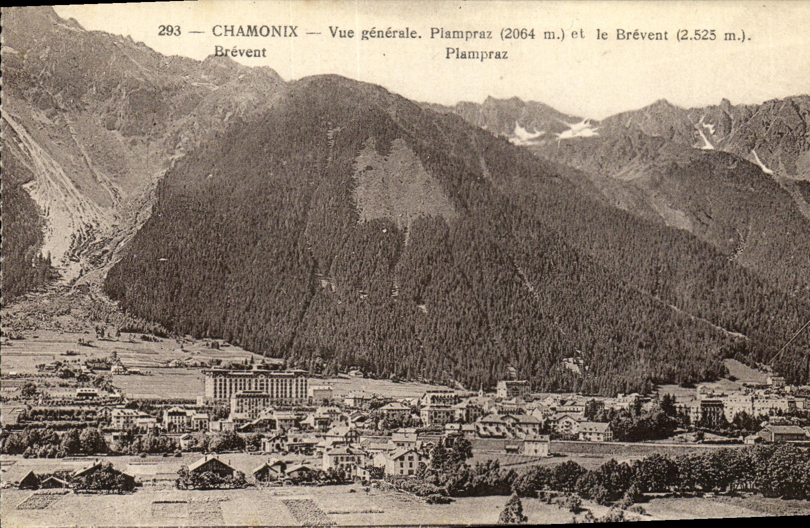 VINTAGE POSTCARD Chamonix View Plampraz and Brevent