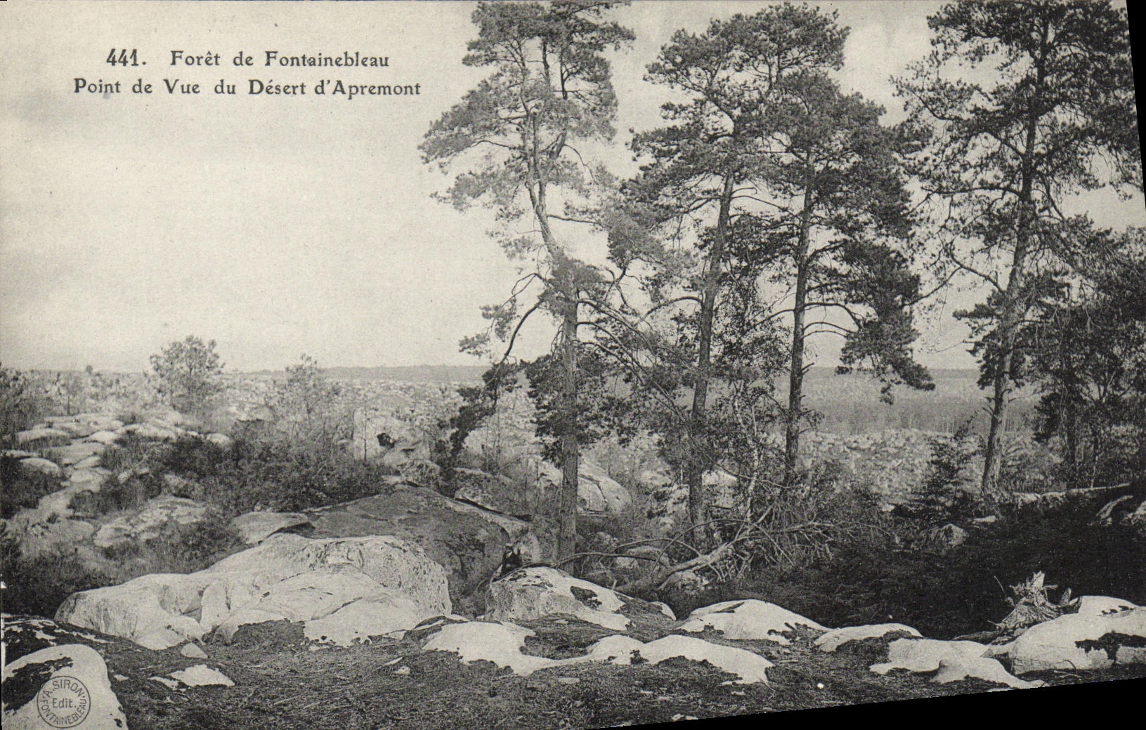CPA Foret Fontainebleau Foret de Point de Vue du Desert d Apremont