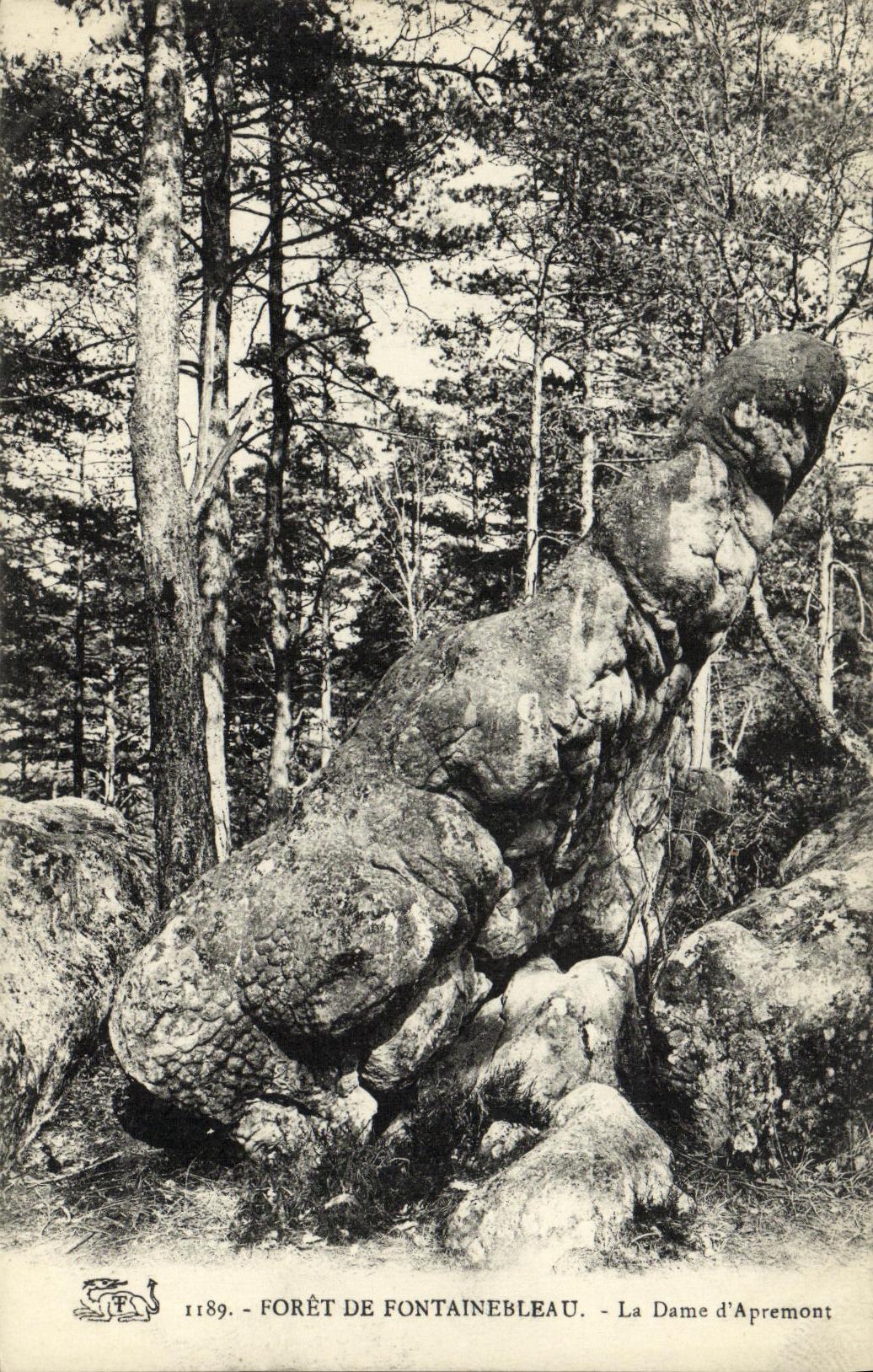 CPA Foret Fontainebleau Foret La Dame d Apremont
