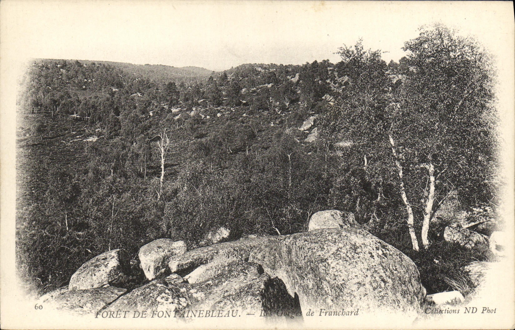 CPA Foret Fontainebleau Foret Les gorges de Franchard