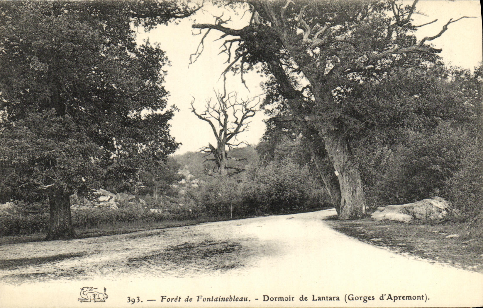 CPA Foret Fontainebleau Foret Dormoir de Lantara Gorges d Apremont