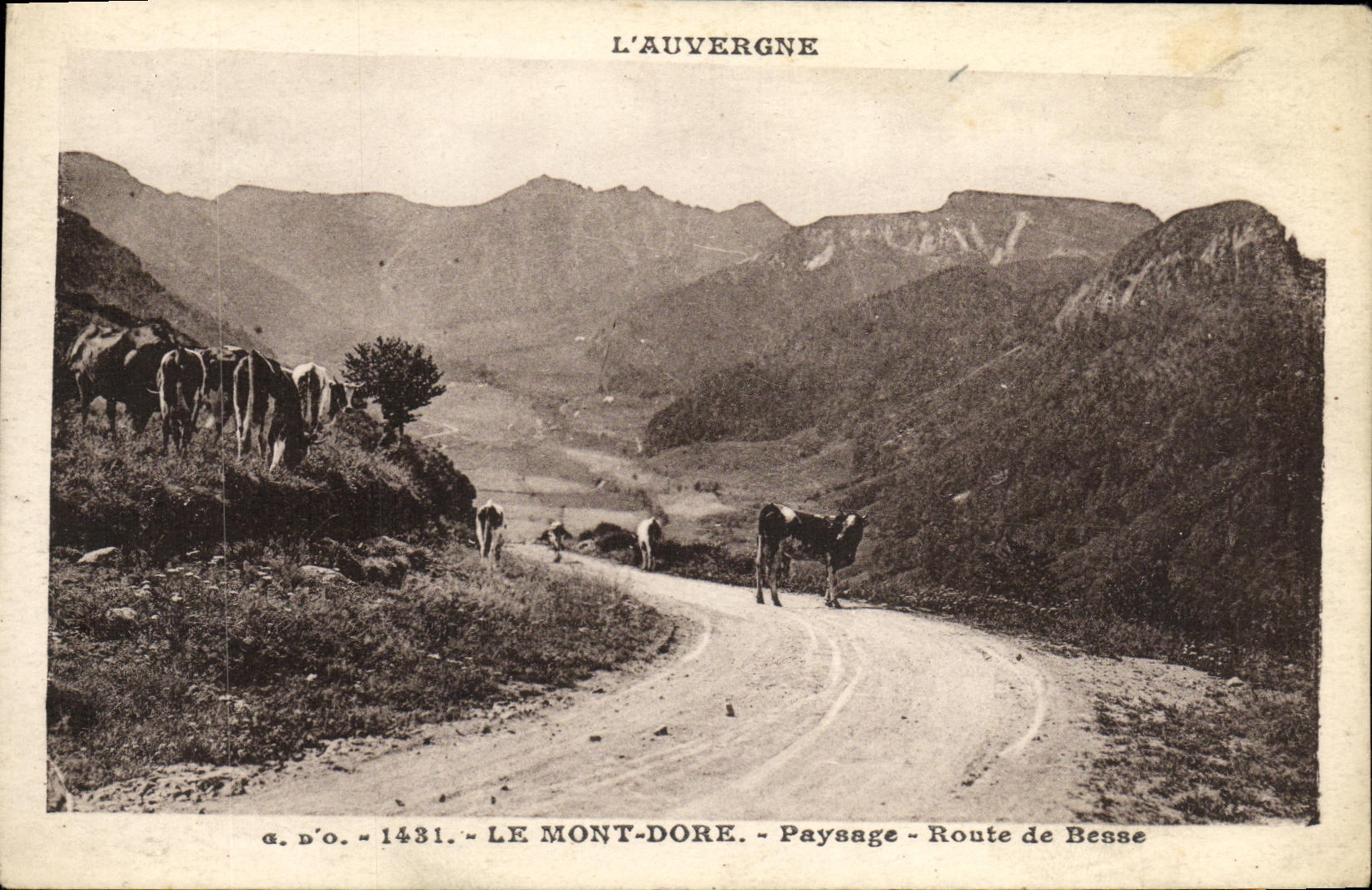 VINTAGE POSTCARD the Mount Gilds Landscape Road of Besse Vaches