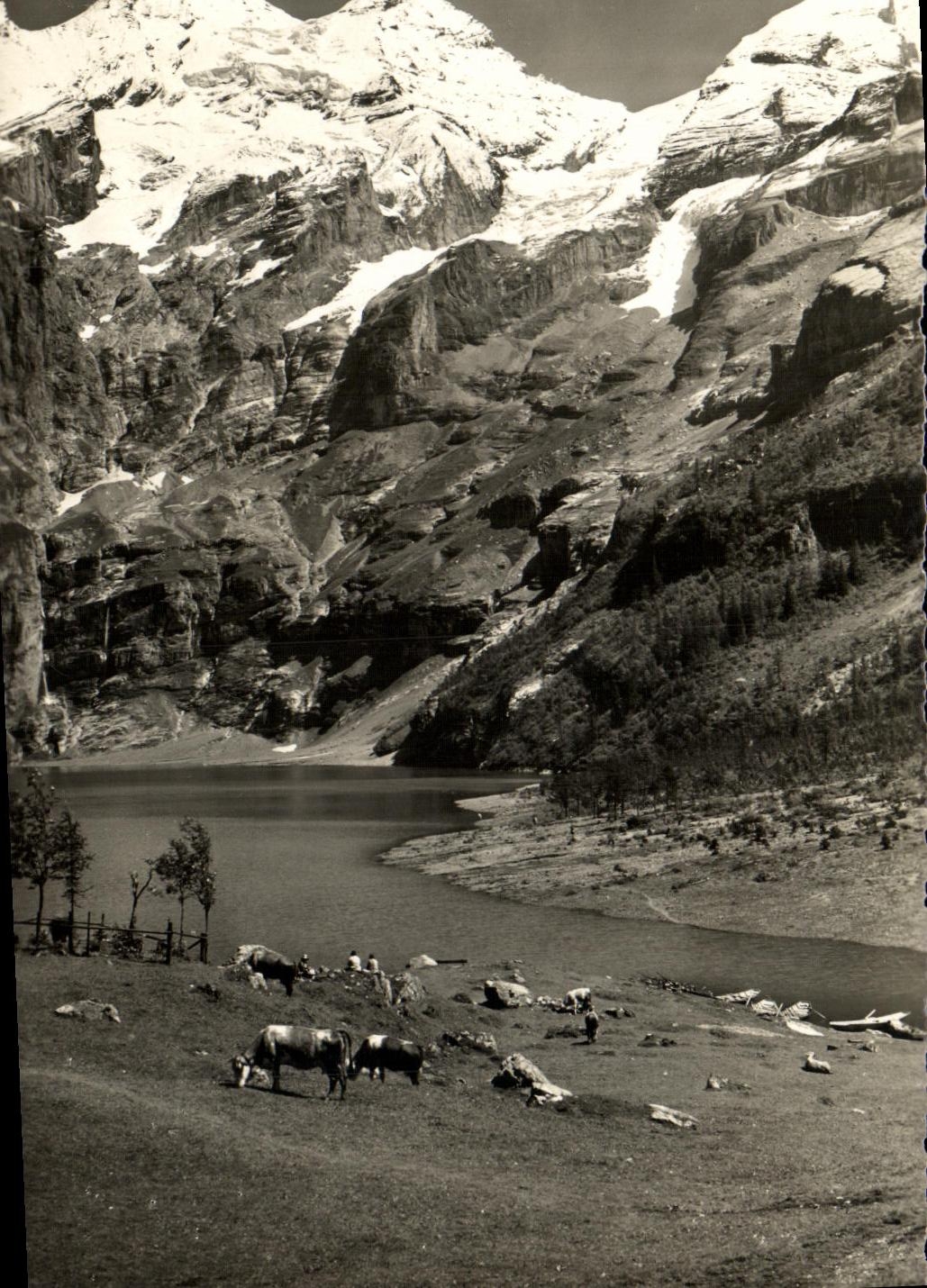CPM Am Oeschinensee mit Blumlisalp 