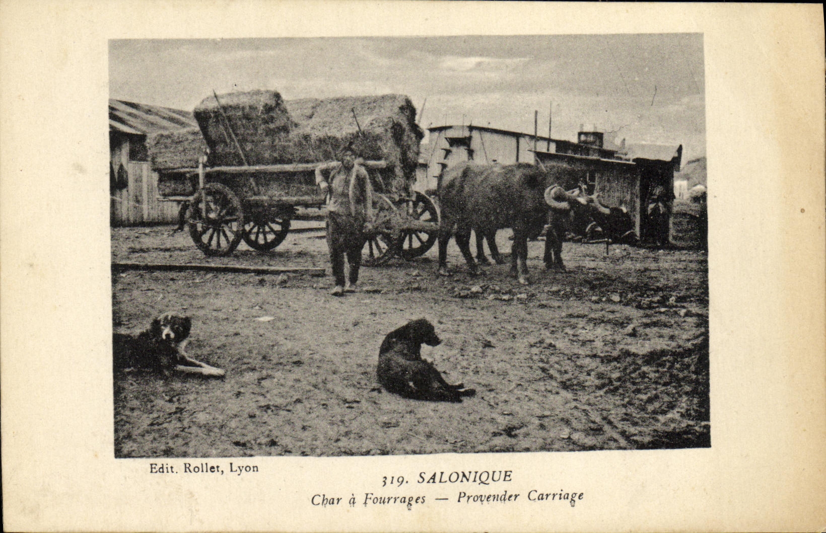 VINTAGE POSTCARD Salonique Char has Fourrages Greece