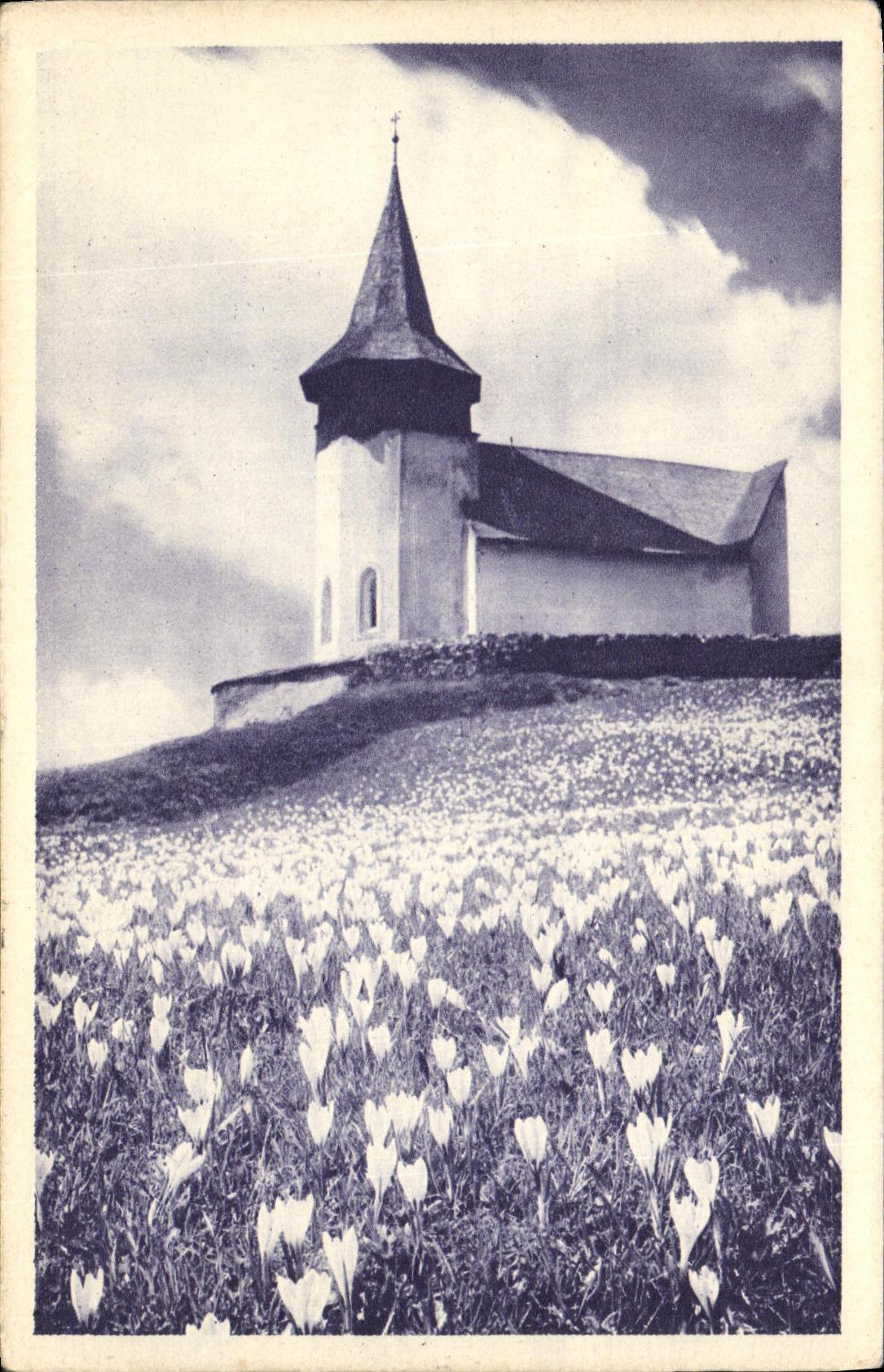 VINTAGE POSTCARD Bergkirchlein MIT Krokuswiese