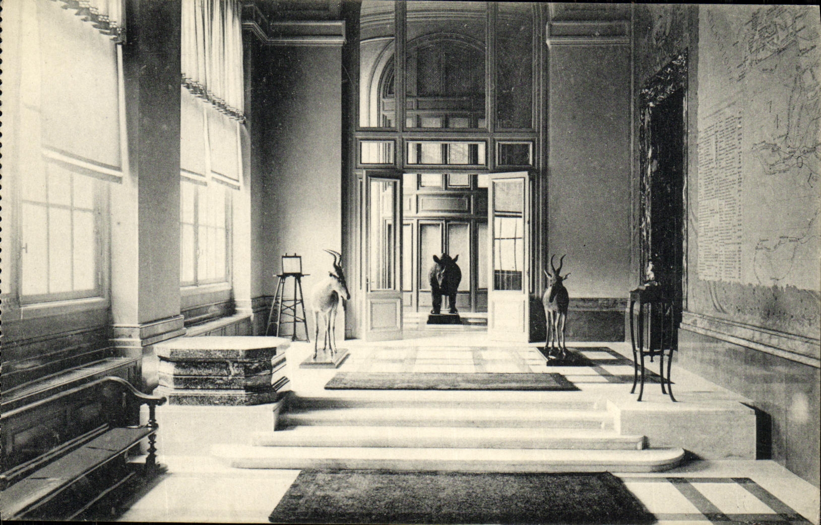 Museo de Tervueren de la POSTAL de la VENDIMIA nuevo de Congo una esquina de la galeria