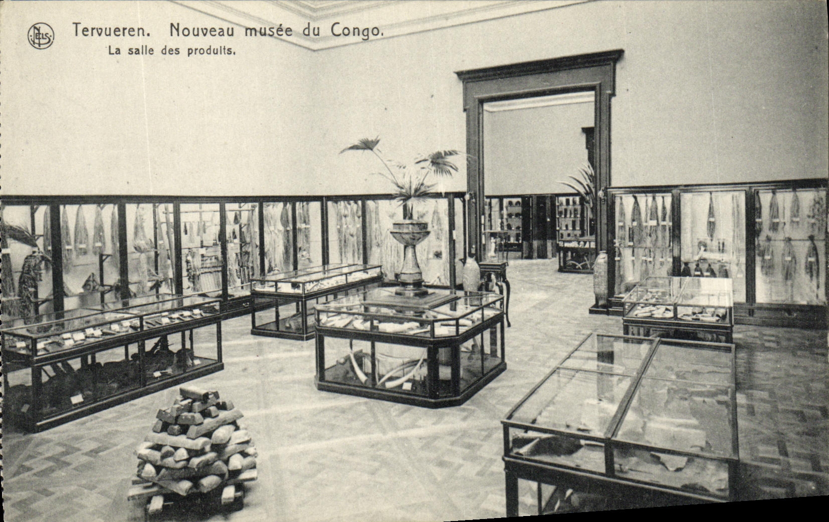 VINTAGE POSTCARD Tervueren New Museum of Congo the Room of Produlls