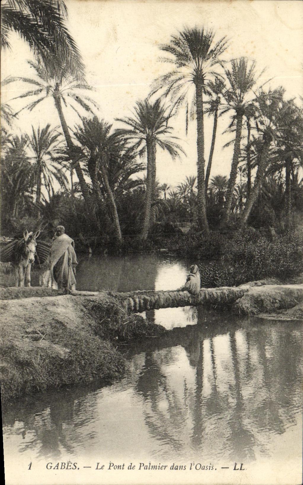 VINTAGE POSTCARD Gabes the Bridge of Palm tree in L Oasis