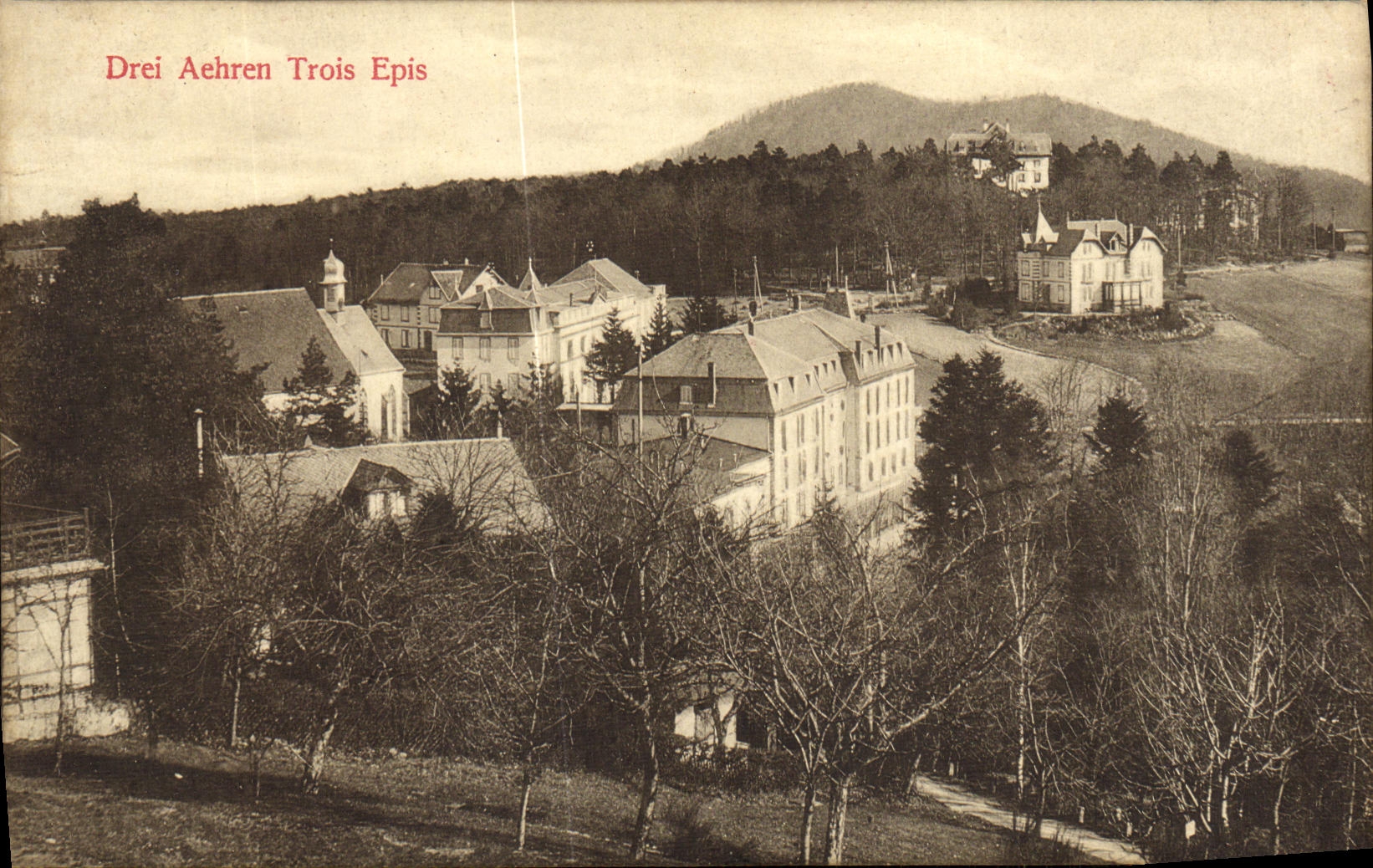 VINTAGE POSTCARD Drei Aehren Three Ears