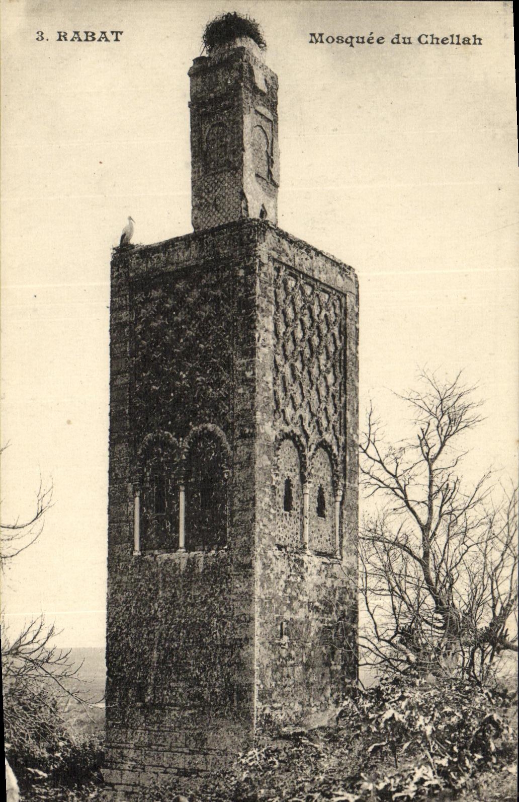 VINTAGE POSTCARD Reduction Mosque of Chellah