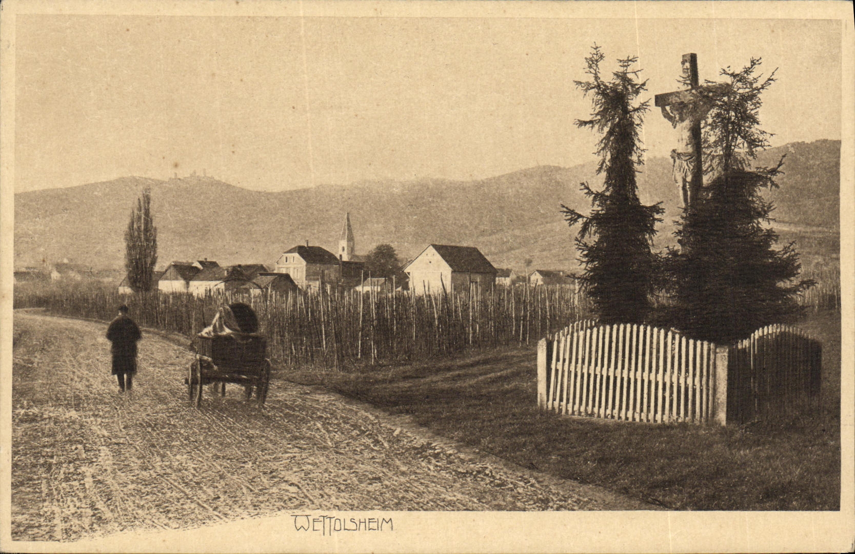 POSTAL Wettolsheim de la VENDIMIA