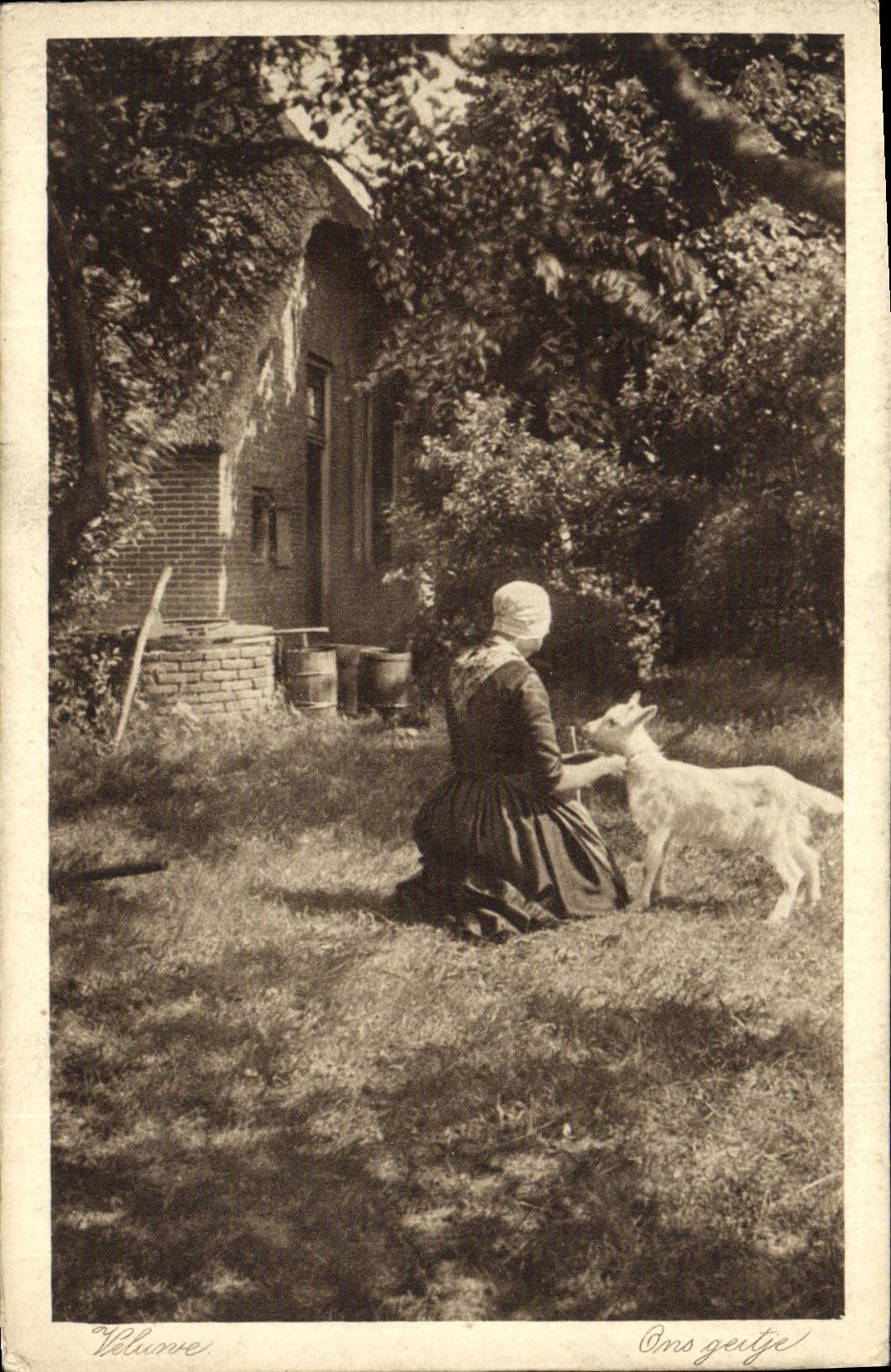 Mujer de la cabra de Velunve de la POSTAL de la VENDIMIA