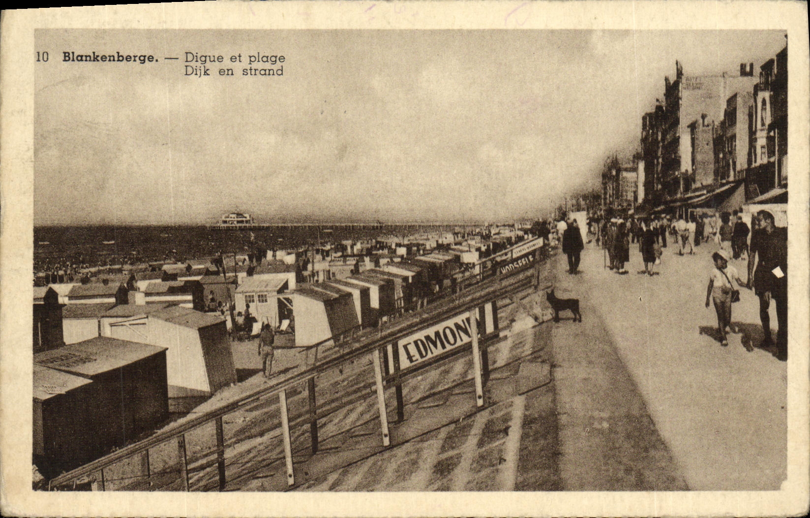 CPA Blankenberge Digue et Plage