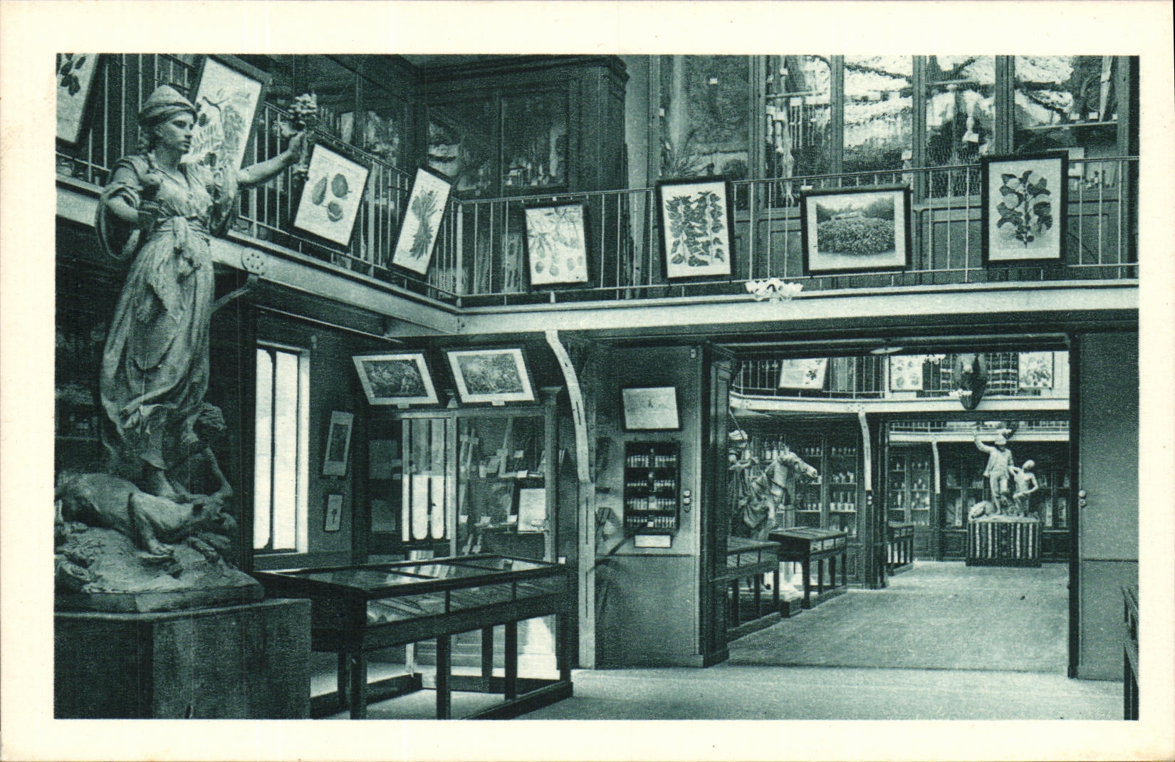 VINTAGE POSTCARD National institute D Colonial Agronomy Indochinese Souvenir Indo China Museum