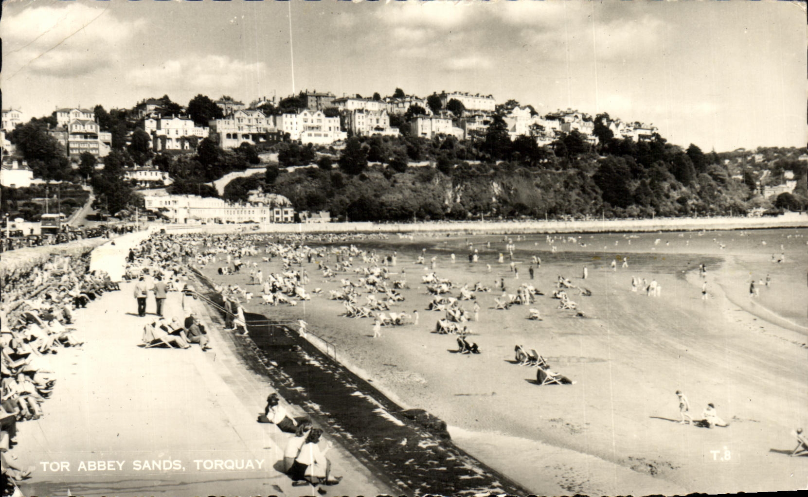 MODERN CARD Tor Abbey Sands Torquay