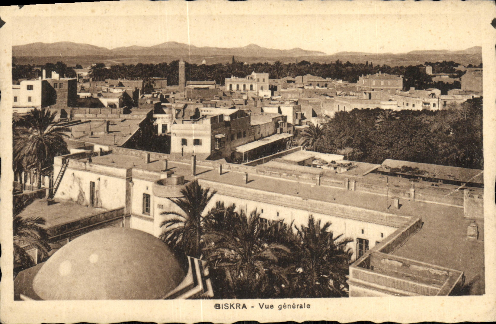Opinion de Biskra de la POSTAL de la VENDIMIA