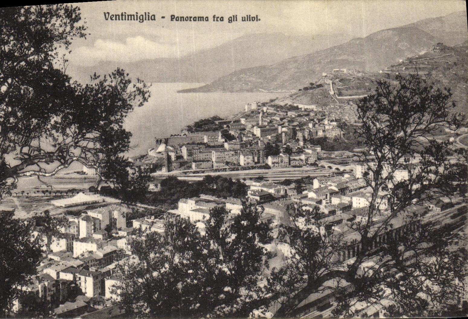 Panorama FRA Gli Ullivi de Ventimiglia de la POSTAL de la VENDIMIA