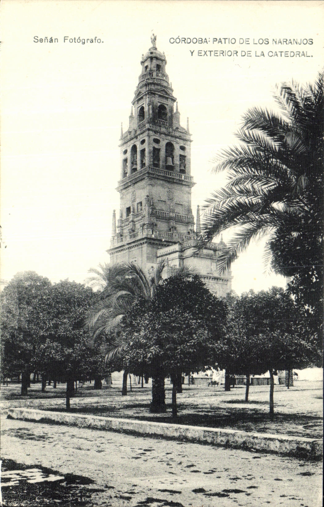 Exterior de Cordoba Patio De Los Naranjos de la POSTAL de la VENDIMIA alli del catedral