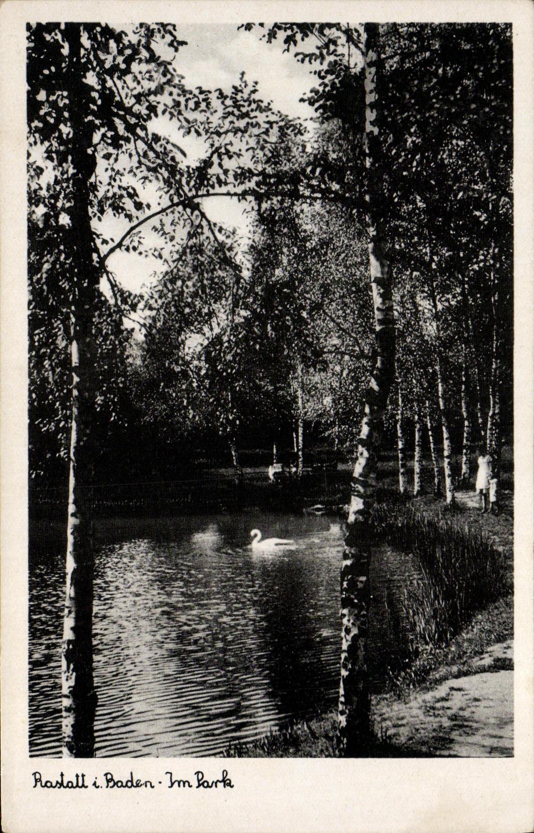 VINTAGE POSTCARD Rasdall I Baden Im park Swan