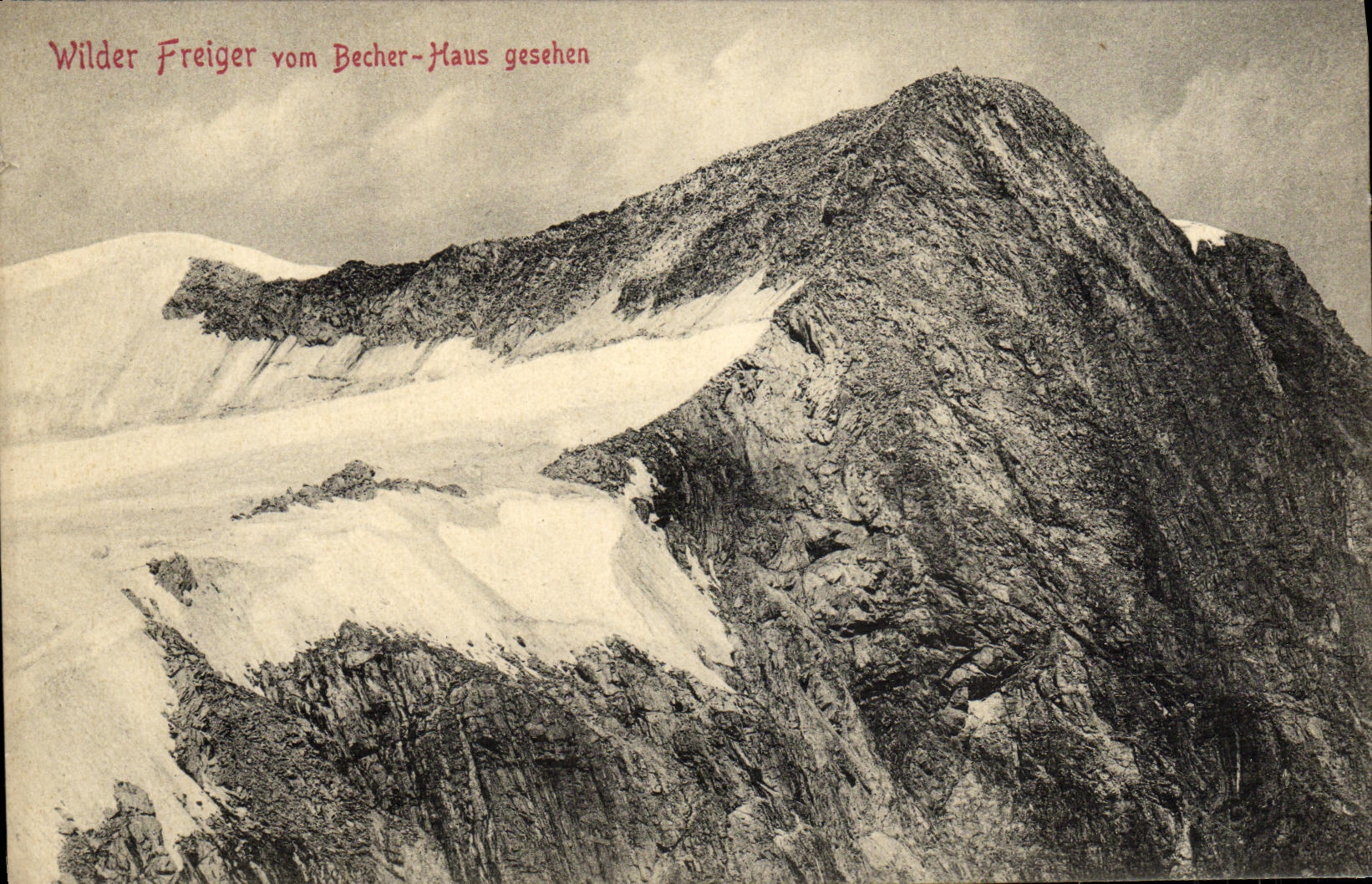 CPA Wilder Freiger Vom Becher Kaus Gesehen