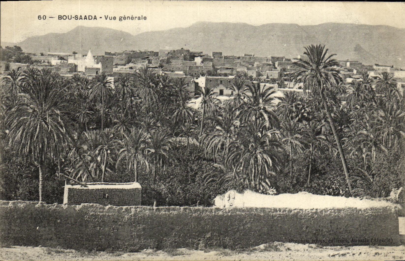CPA Bou Saada Vue generale