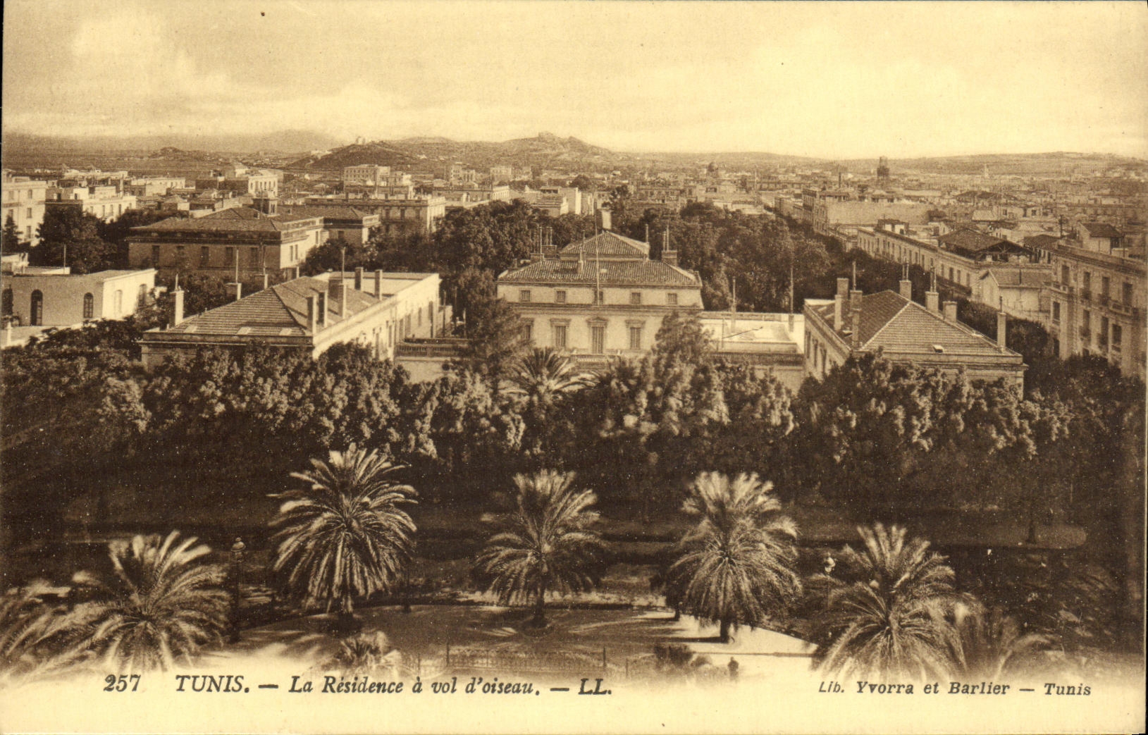 VINTAGE POSTCARD Tunis the Residence has Vol D Oiseau