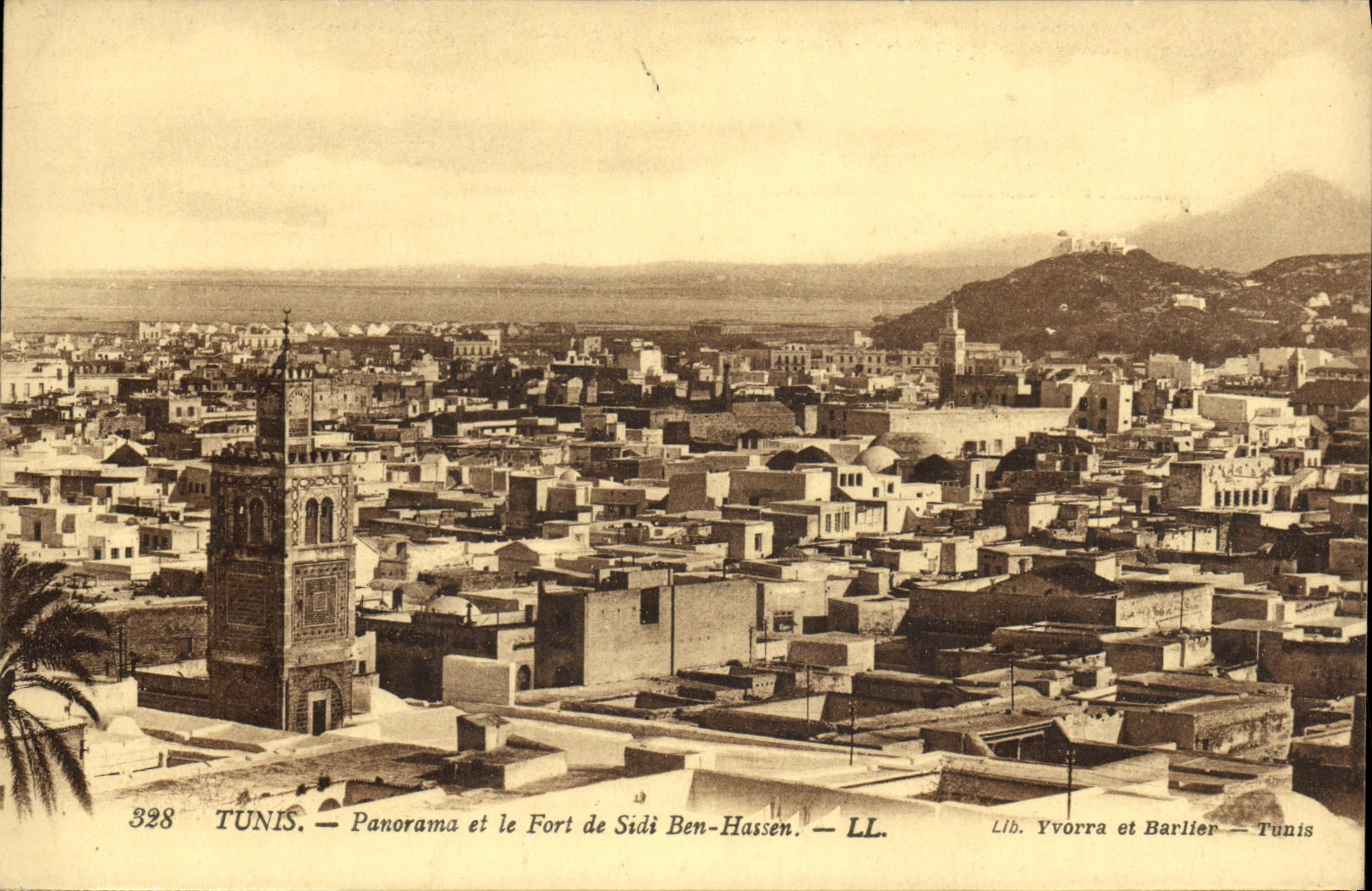 Panorama de Túnez de la POSTAL de la VENDIMIA y Fort de Sidi Ben Hassen
