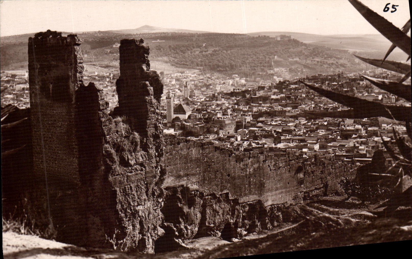 Opinion de Fes de la POSTAL de la VENDIMIA y sus paredes