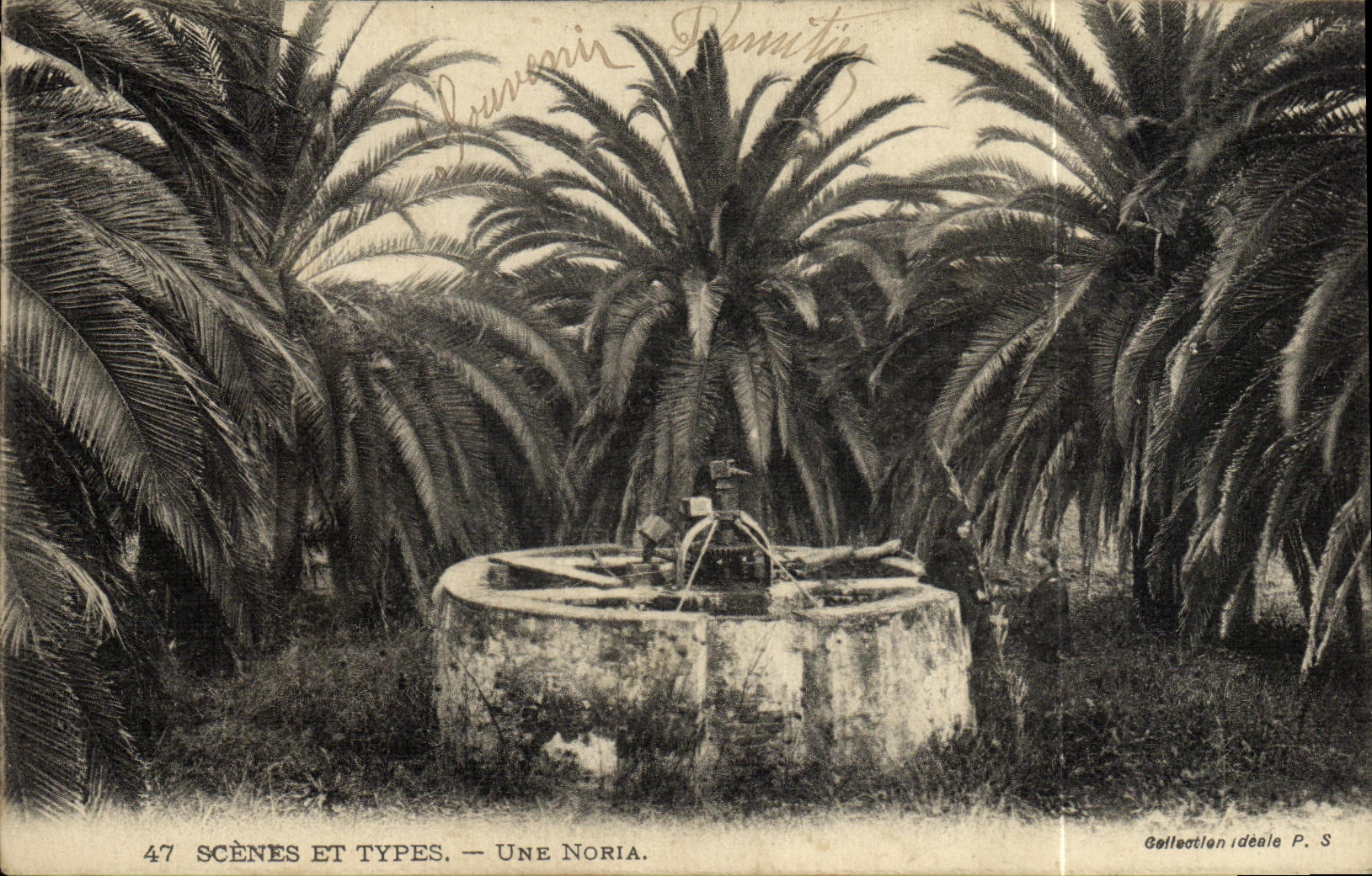 Escenas y tipos de la POSTAL de la VENDIMIA un Noria