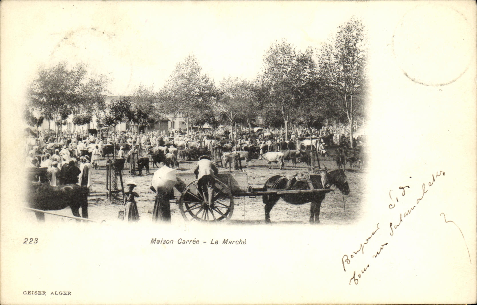 La POSTAL Maison Carree de la VENDIMIA pone Argelia