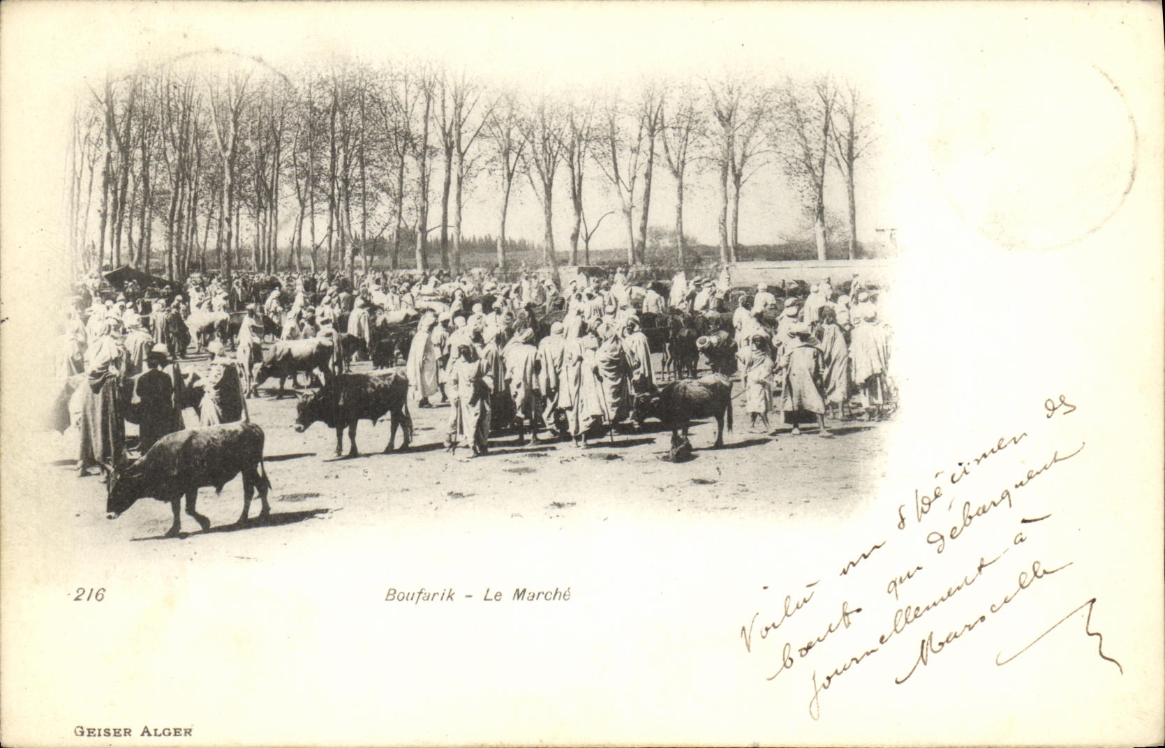 Mercado Argelia de Boufarik de la POSTAL de la VENDIMIA