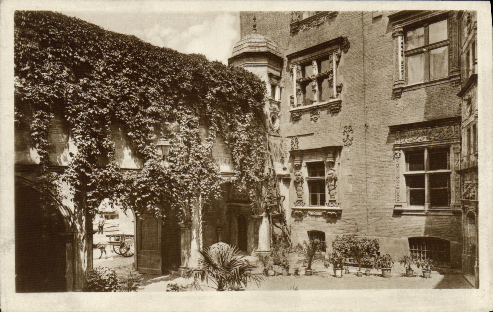 POSTAL Toulouse L hotel de la VENDIMIA de la vieja corte del interior de la uva