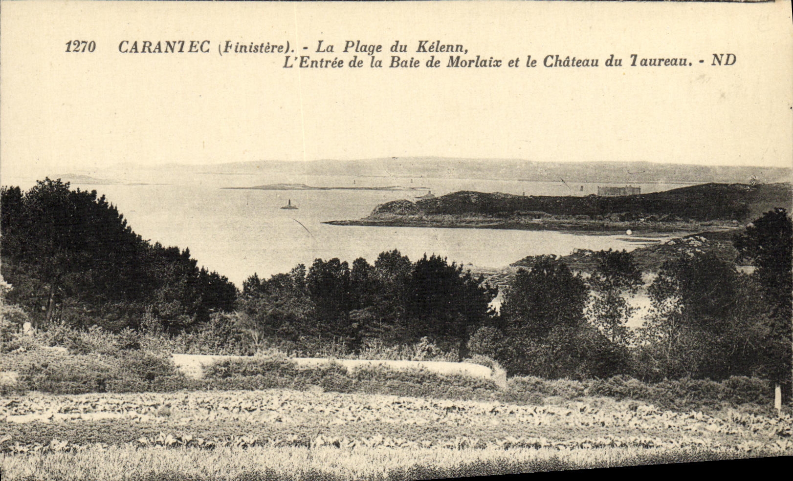 CPA Carantec La Plage du Kelenn L Entree de la Baie de Morlaix et le Chateau du Taureau