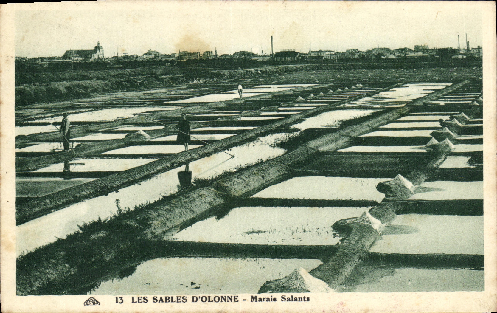 La POSTAL de la VENDIMIA enarena pantanos del agua salada de D Olonne