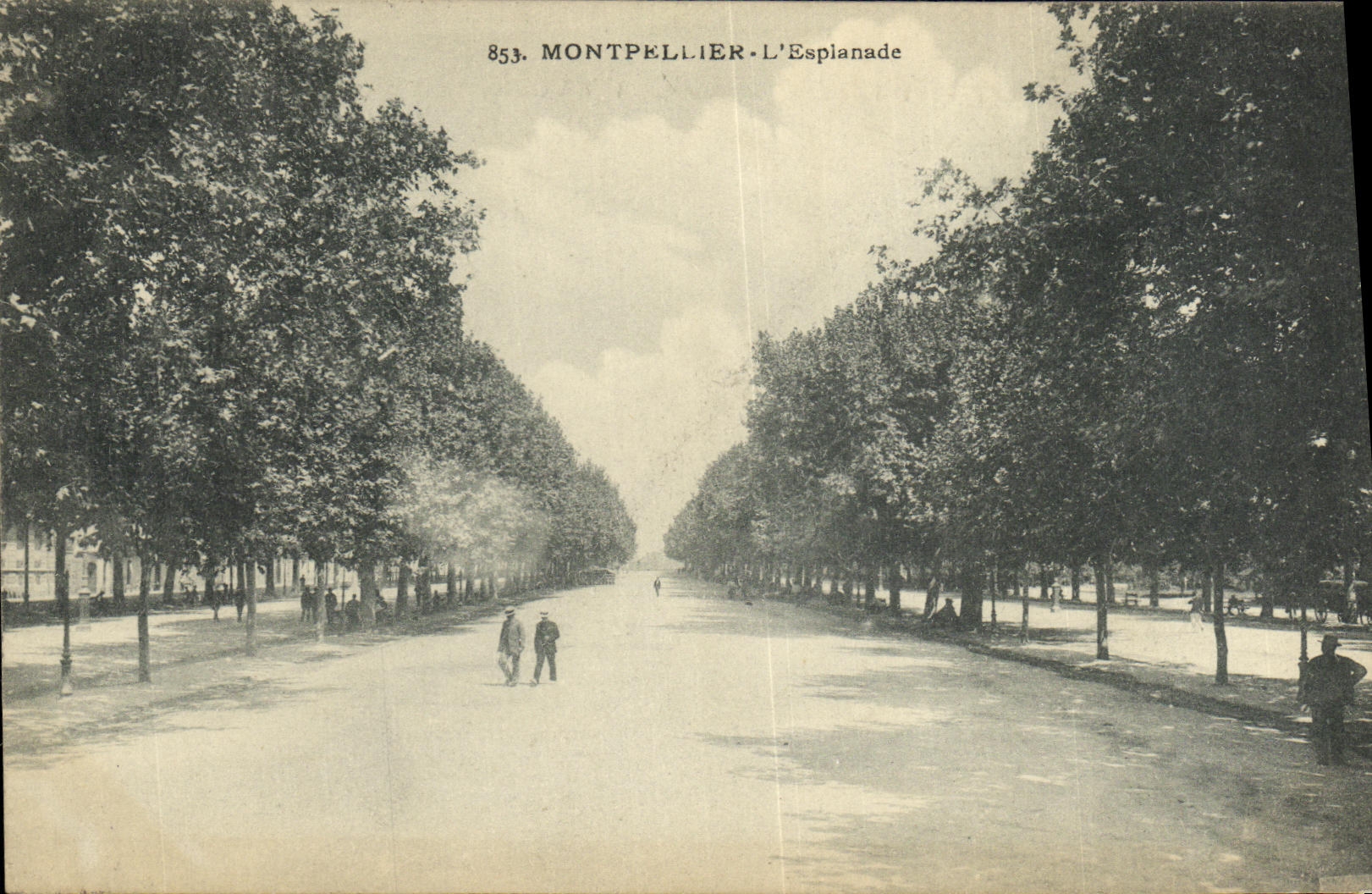 VINTAGE POSTCARD Montpellier L Esplanade