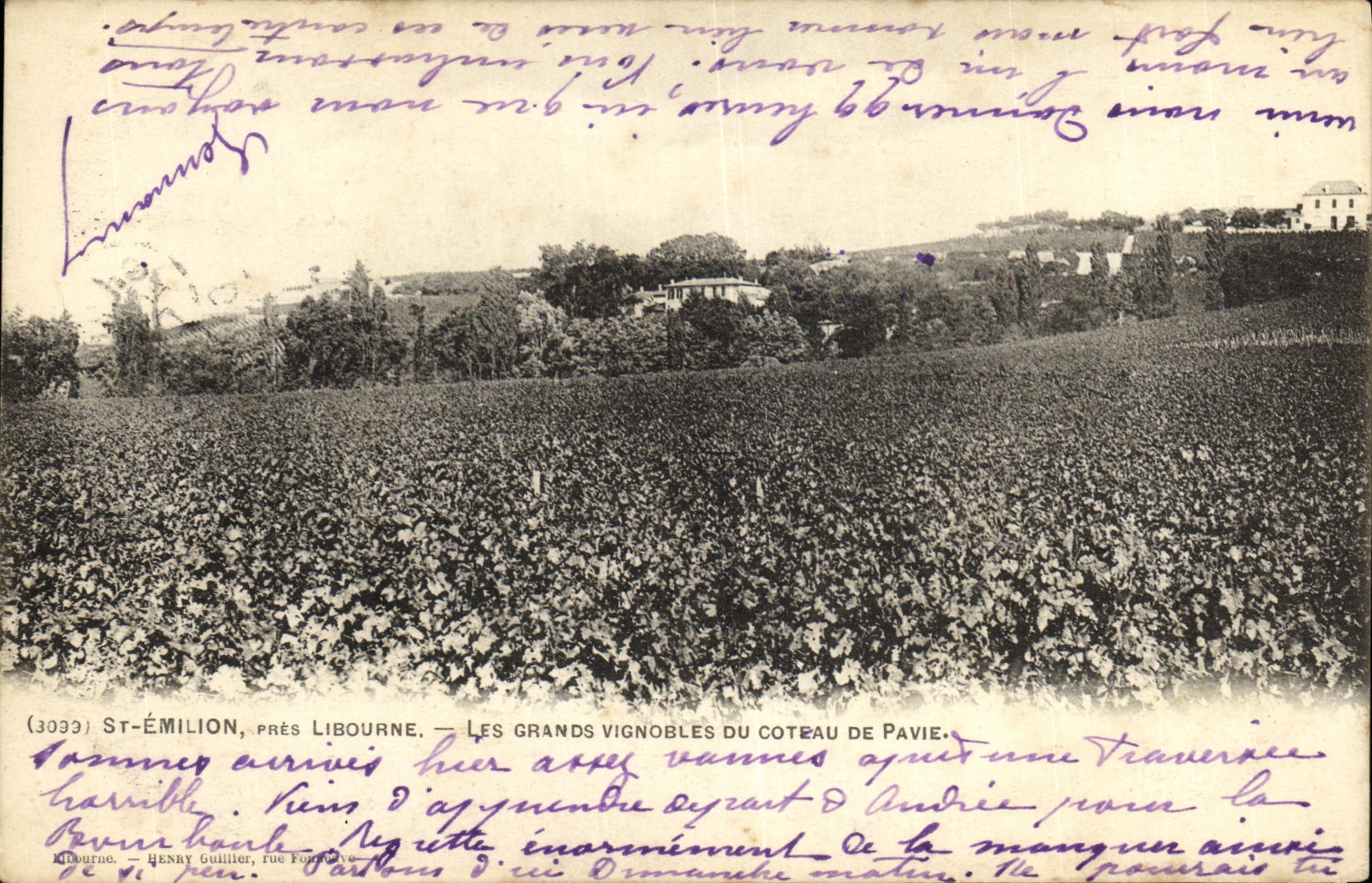 VINTAGE POSTCARD St Emilion Close Libourne Large Vineyards Of the Slope Of Pavia