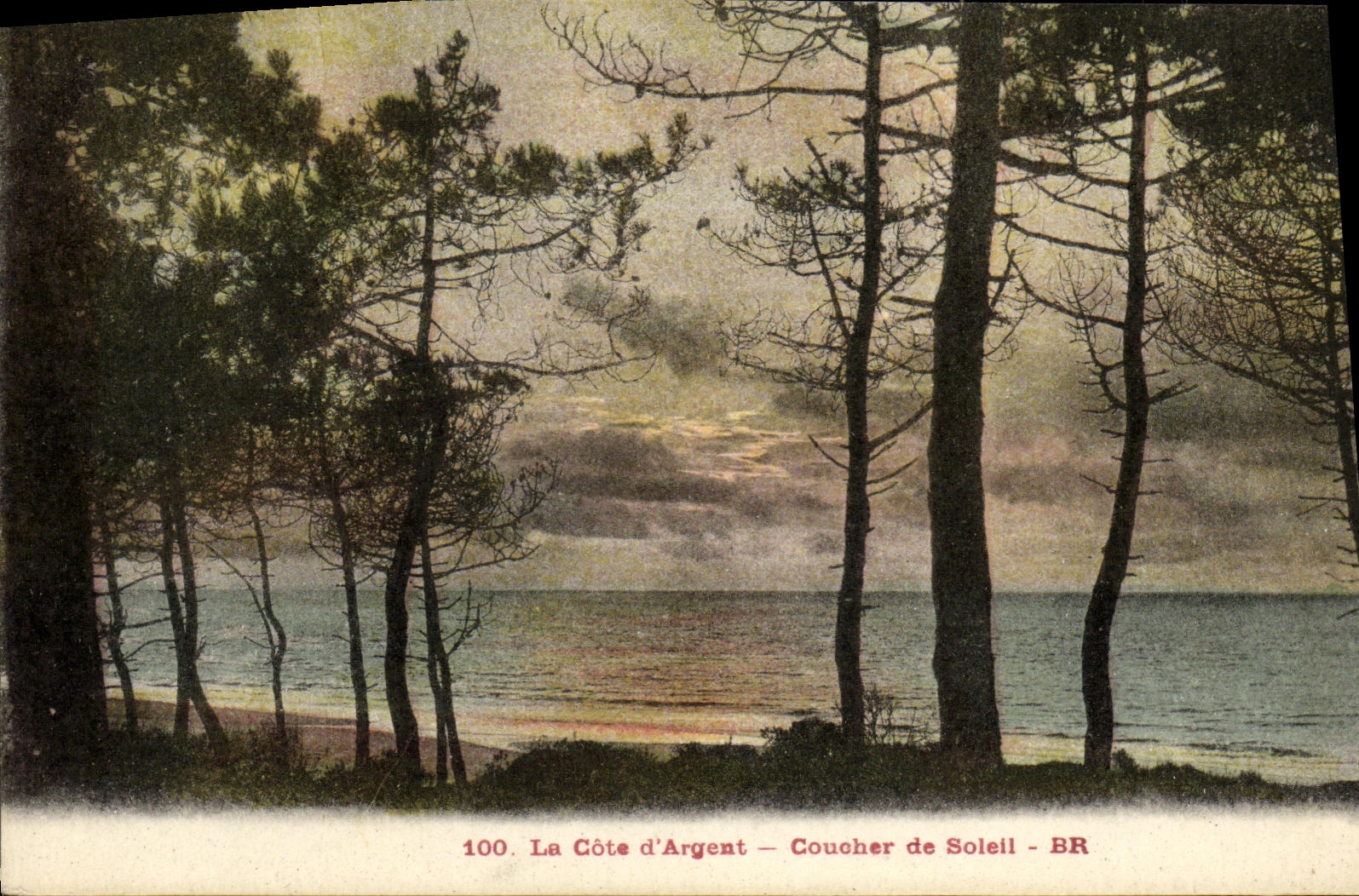 VINTAGE POSTCARD Libourne the Dimension D Money Sunset