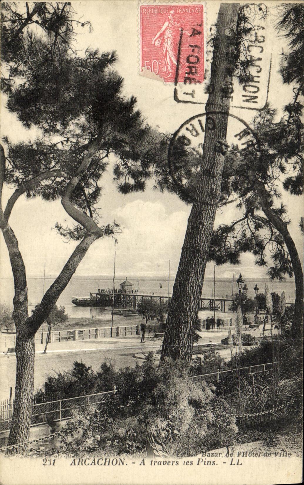 VINTAGE POSTCARD Arcachon Through the Pines